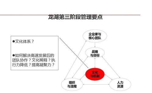 龙湖 企业管理与运营精细化管理